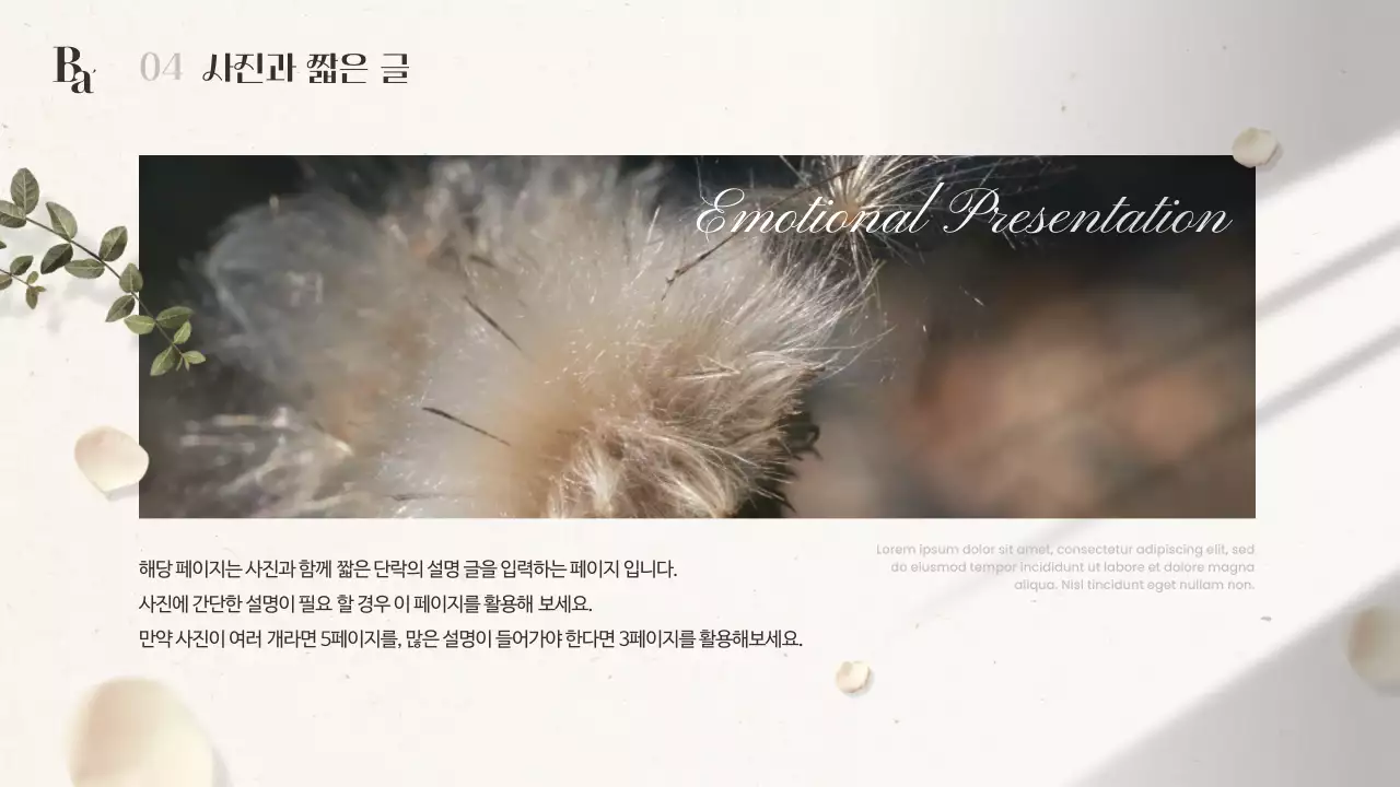 아이보리색과 갈색의 모던한 감성 겨울 꽃 소개서