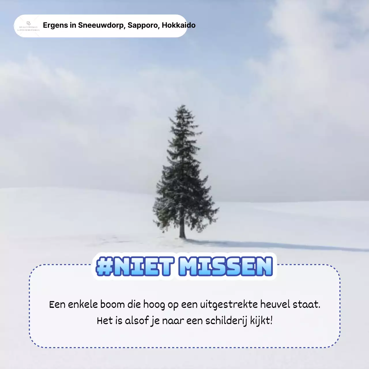 Winterreistips voor een eenvoudige blauw-witte winter in Japan