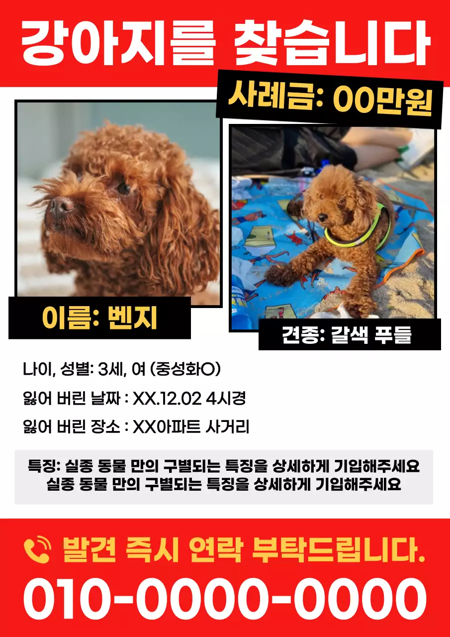 빨강의 심플한 반려동물 실종 전단지 게시글