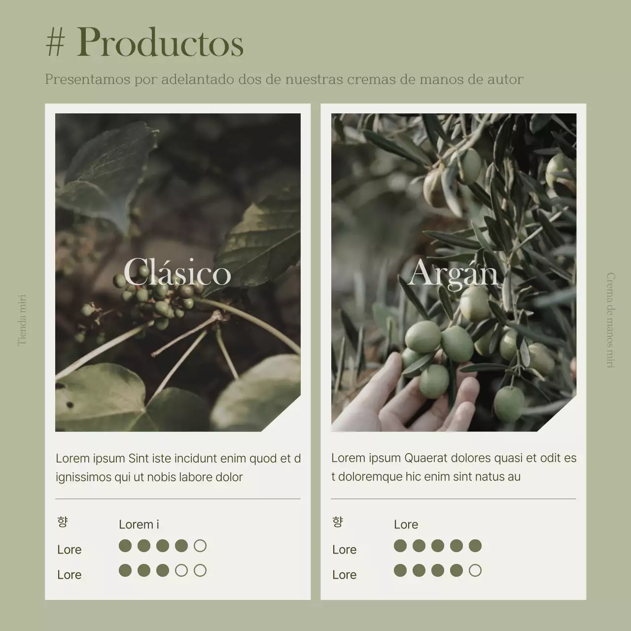 Caqui y blanco para una guía de financiación moderna