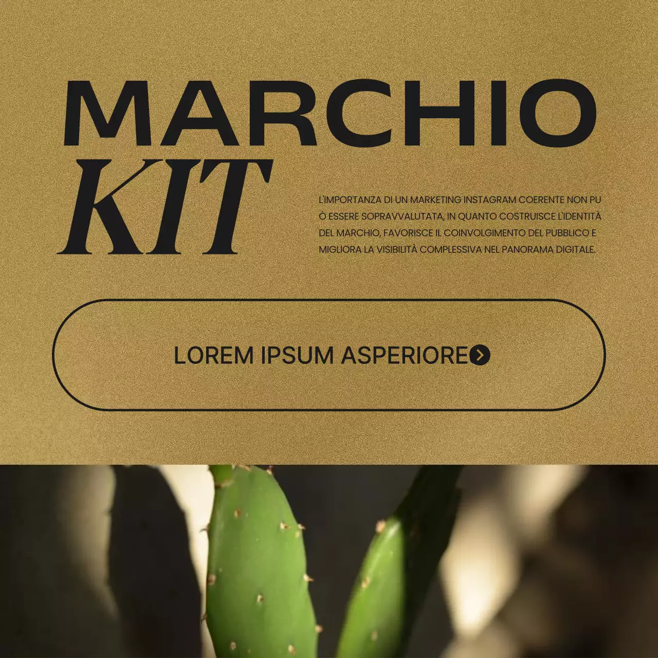 Un post sui brand kit di tendenza per i social media in marrone e rosso