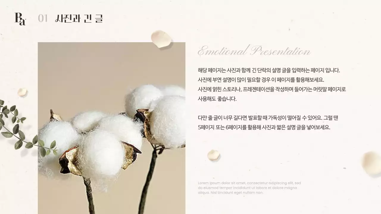 아이보리색과 갈색의 모던한 감성 겨울 꽃 소개서