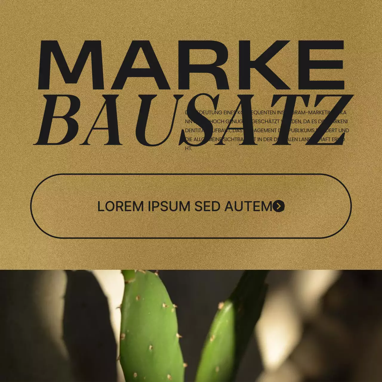 Ein Beitrag über trendige Social Media Brand Kits in Braun und Rot