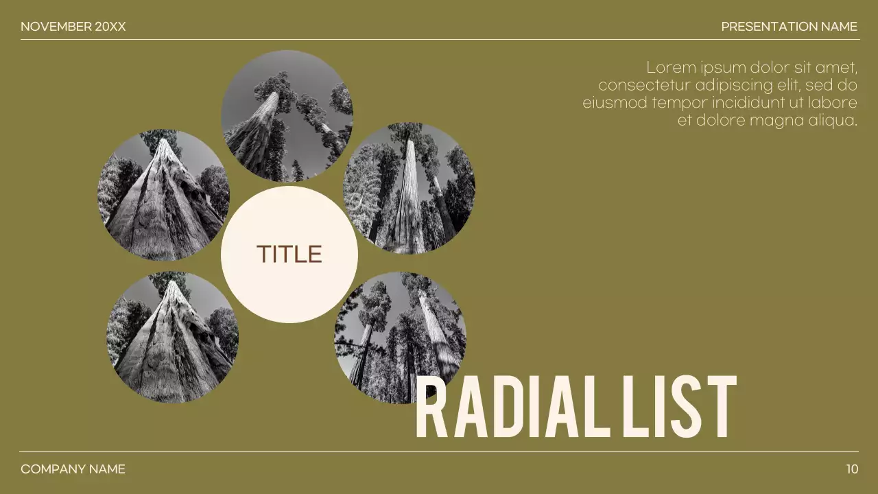 Presentasi Panduan Minimalis Brown