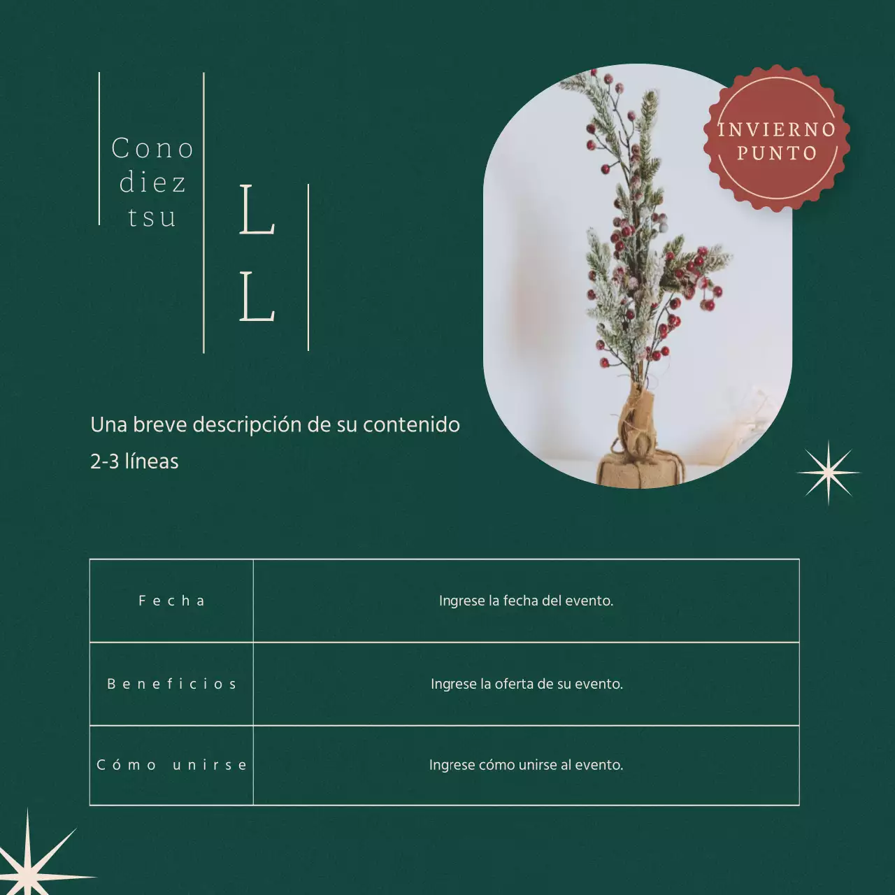 Promueva una Navidad ecológica y minimalista en las redes sociales