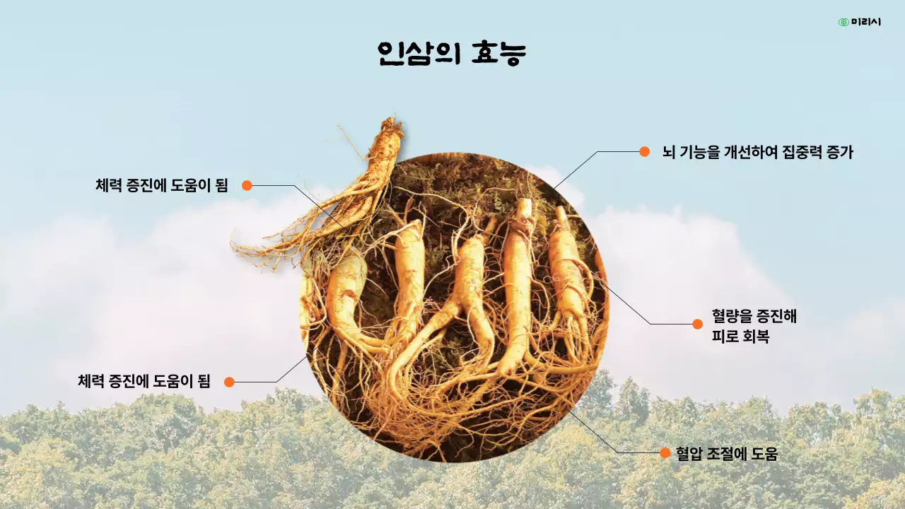 노랑의 복고 인삼축제 소개서