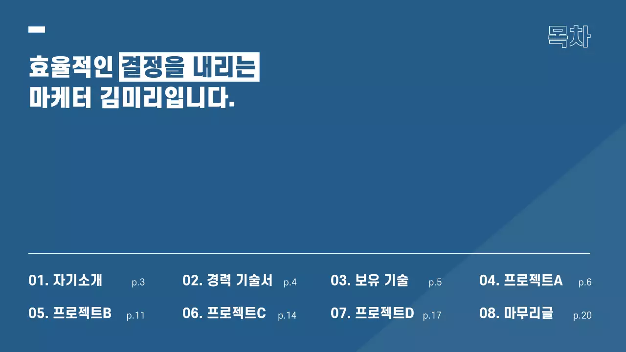 파랑과 흰색의 모던한 경력직 포트폴리오