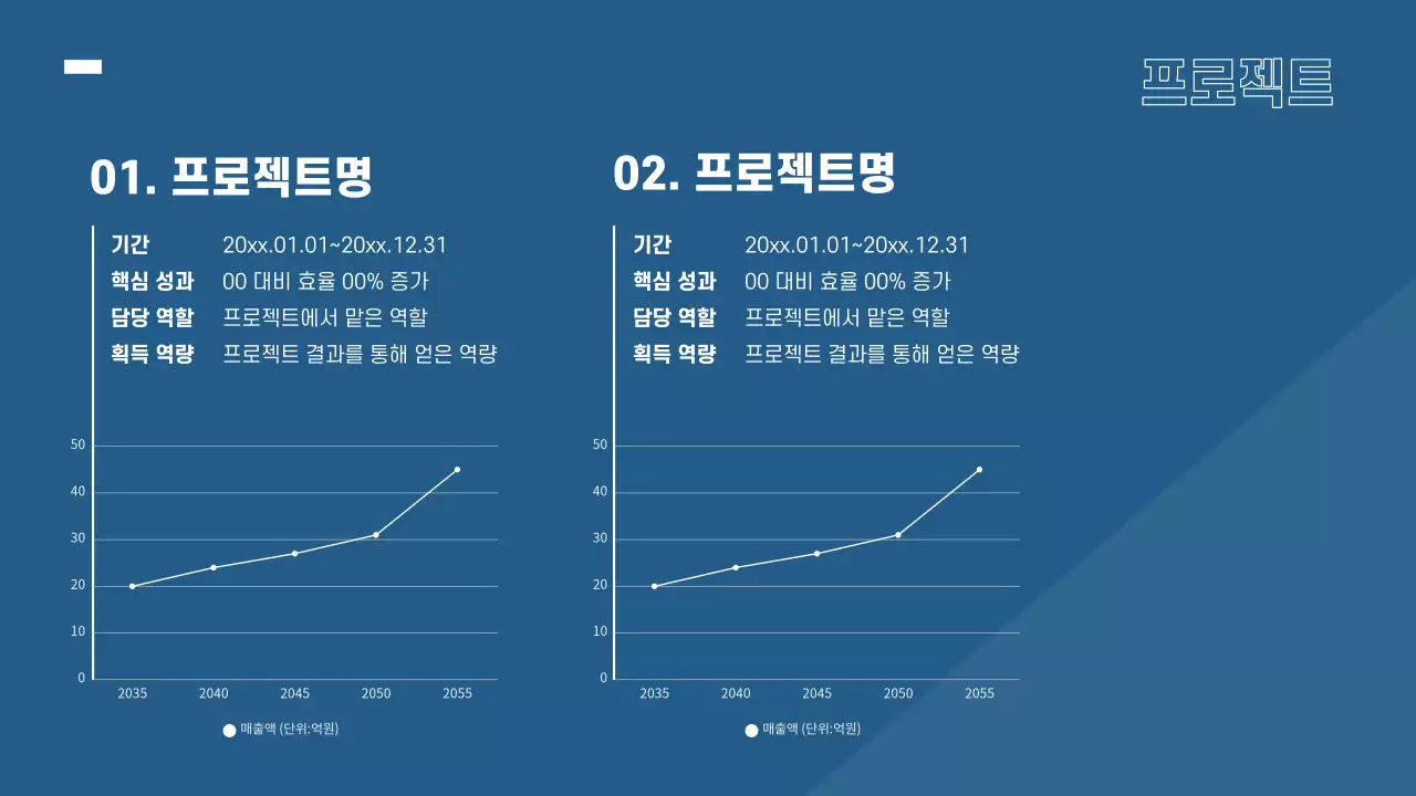 파랑과 흰색의 모던한 경력직 포트폴리오