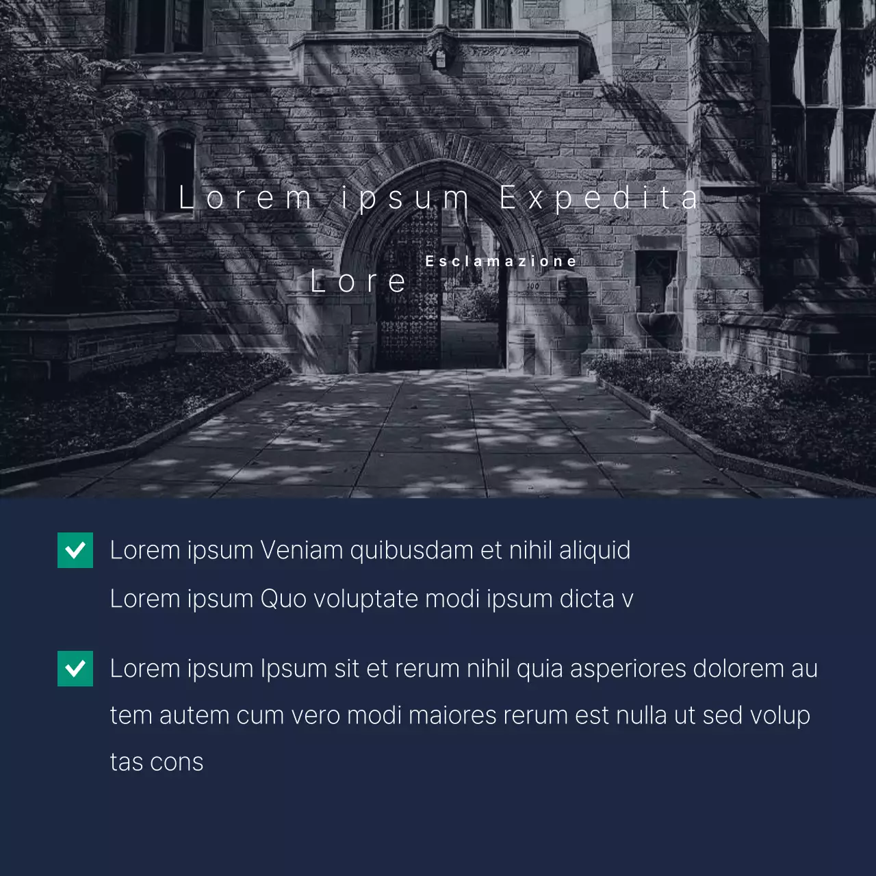 Un semplice libretto di promesse elettorali in blu e bianco.