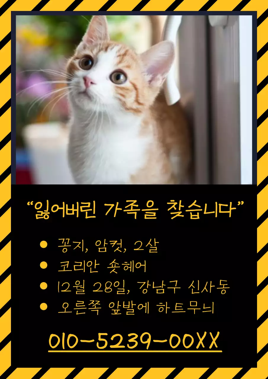 노랑과 검정의 단순한 반려묘 실종 전단지