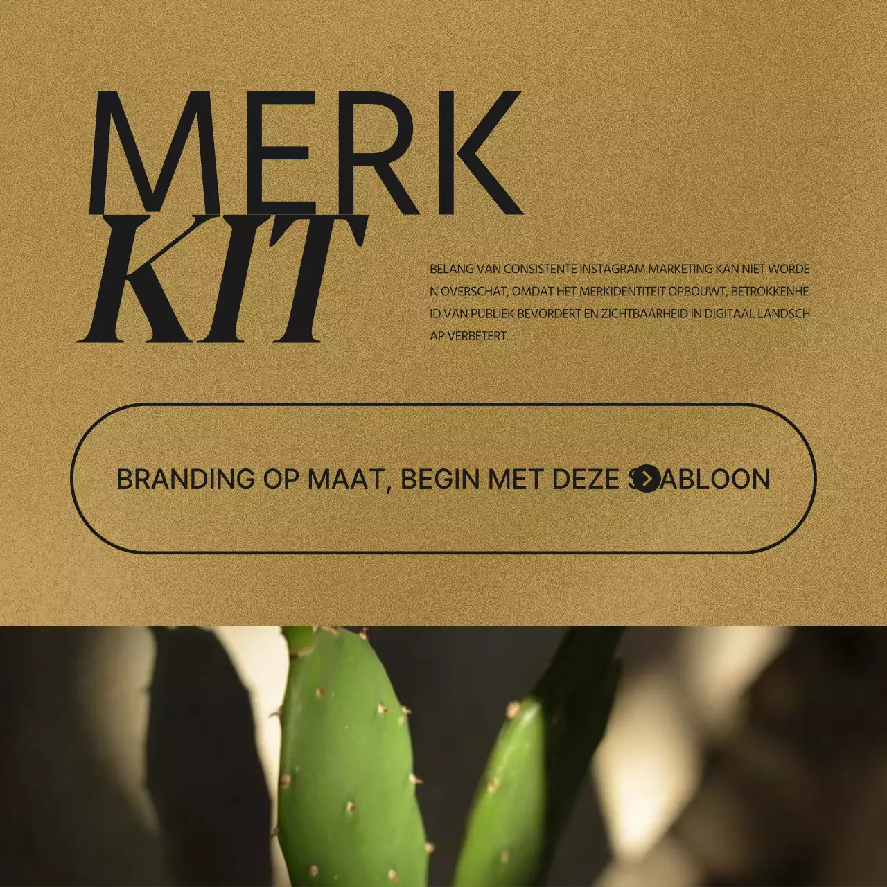 Een bericht over trendy merkkits voor sociale media in bruin en rood