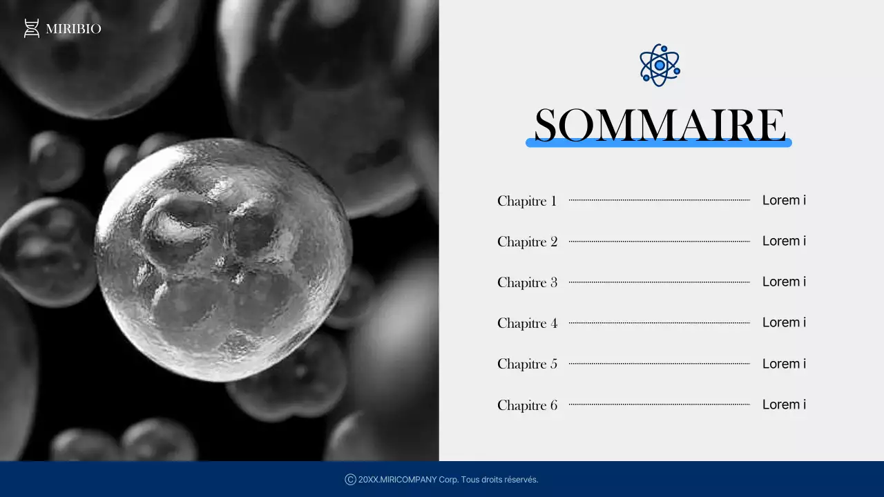 Profil d'une entreprise moderne de soins de santé et de produits pharmaceutiques en bleu et bleu marine