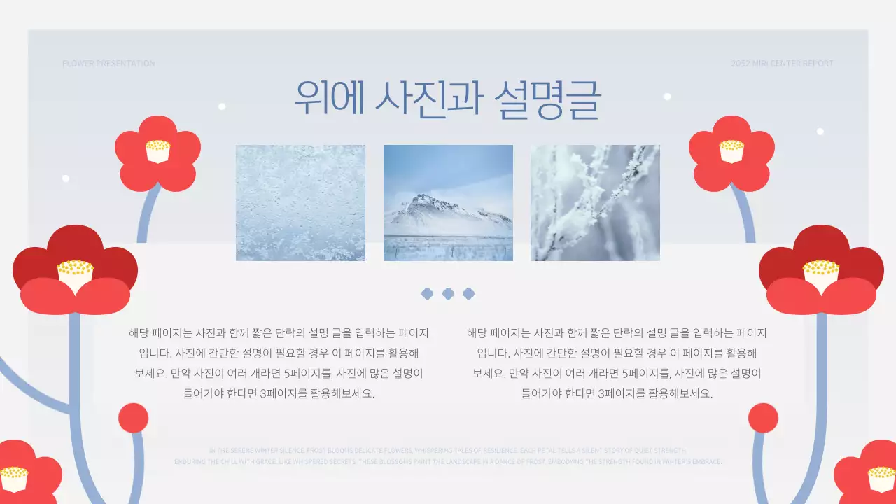하늘색과 빨강의 미니멀한 겨울 꽃 발표자료