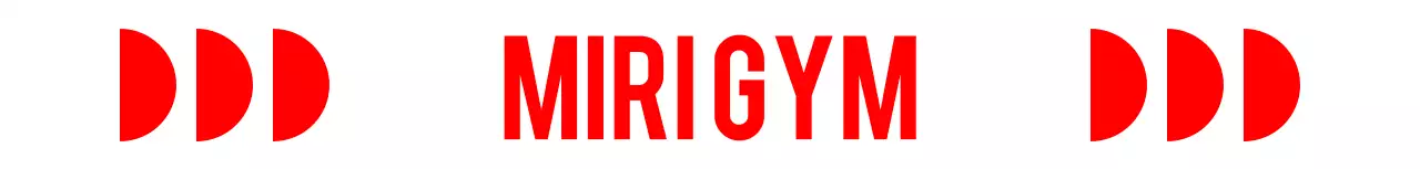 도형을 활용한 체육관 디자인