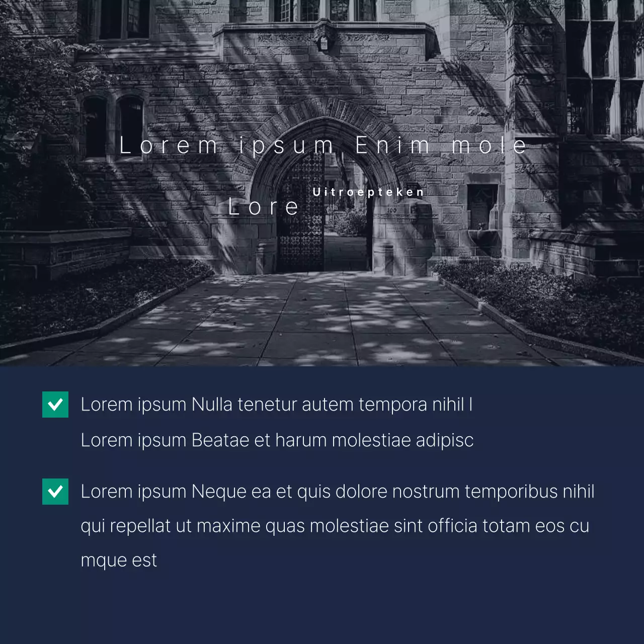 Een eenvoudig, marineblauw en wit verkiezingsbeloftenboekje