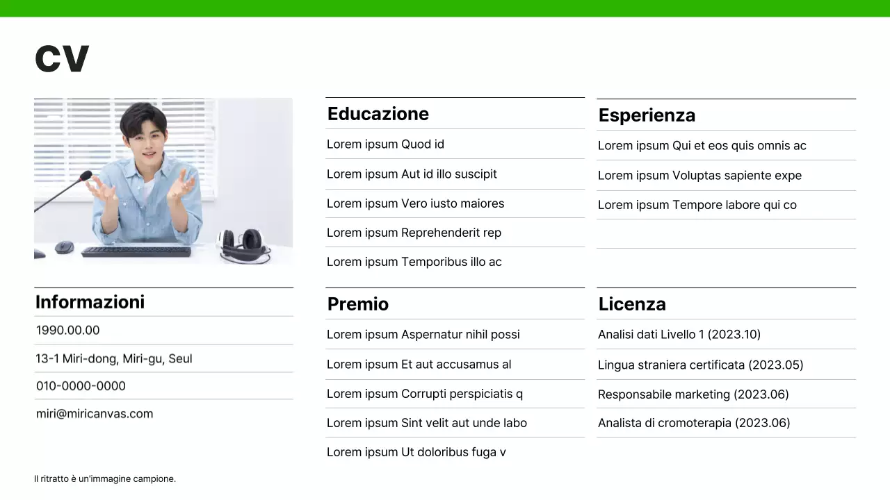 Un semplice portfolio di carriera in verde