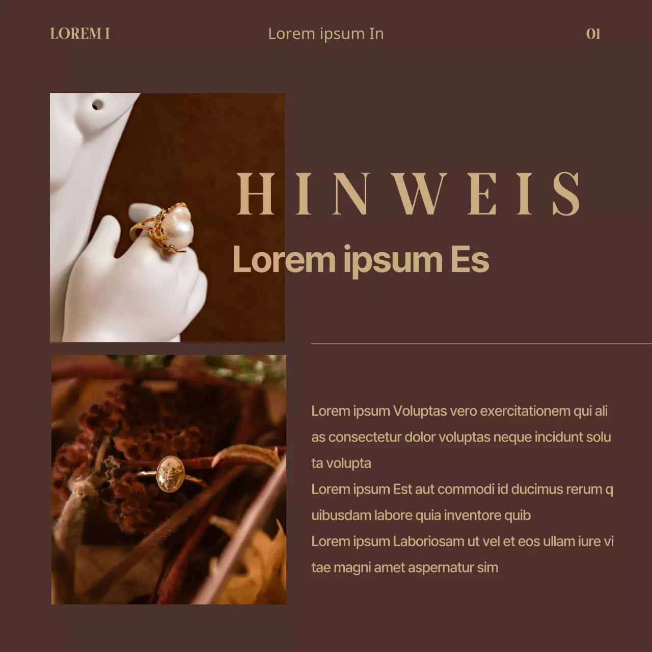 Der Beitrag einer Luxusmarke zu Braun mit Goldakzenten