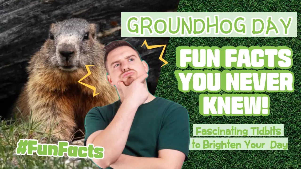 Panduan Fakta Groundhog Green Playful Gambar Mini YouTube