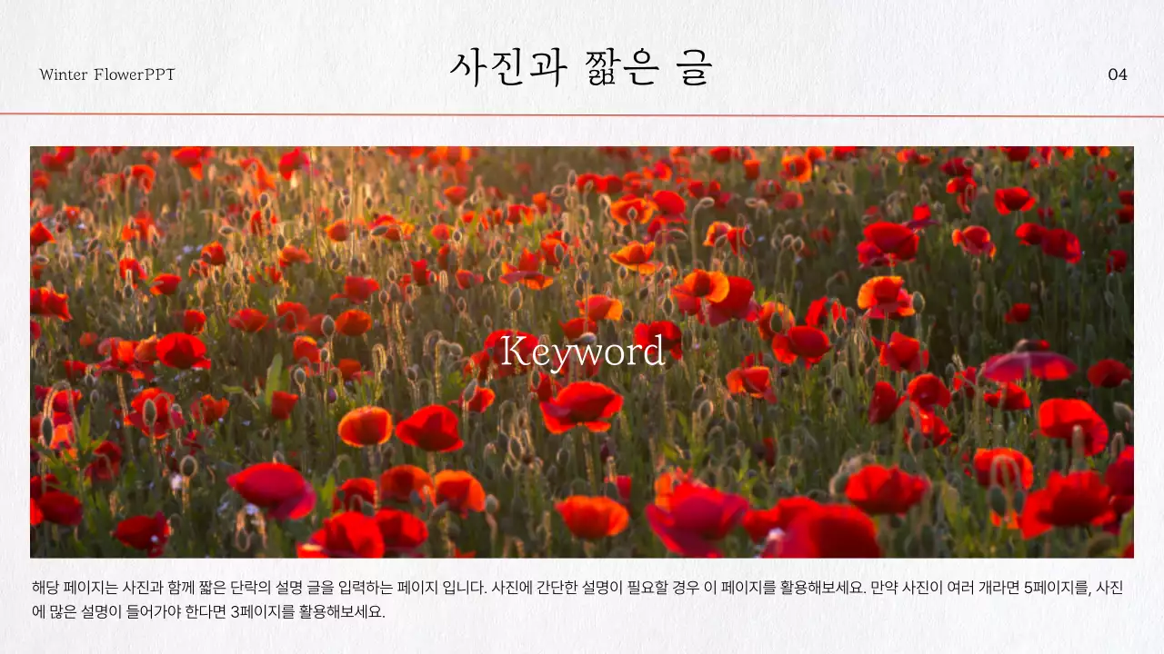 빨강 꽃 포인트의 자연느낌 수채화 소개서