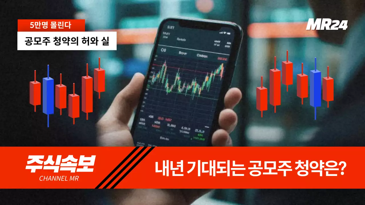 빨강과 흰색의 패러디한 공모주 청약 정보