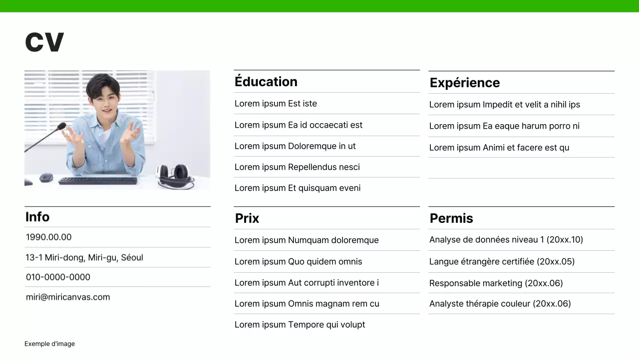 Un portefeuille de carrière simple en vert