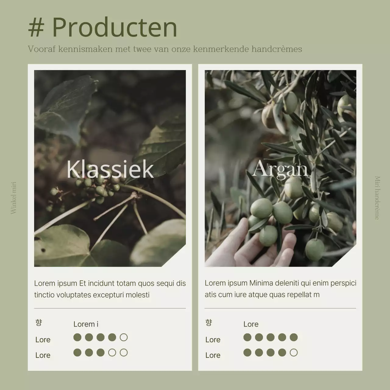 Khaki en wit voor een moderne financieringsgids