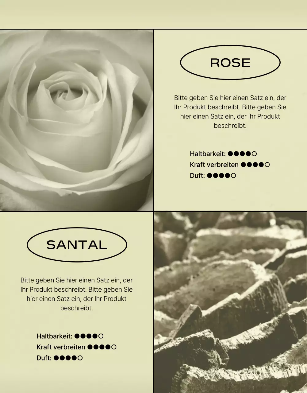 Khaki, minimalistische Fördermittelanzeige