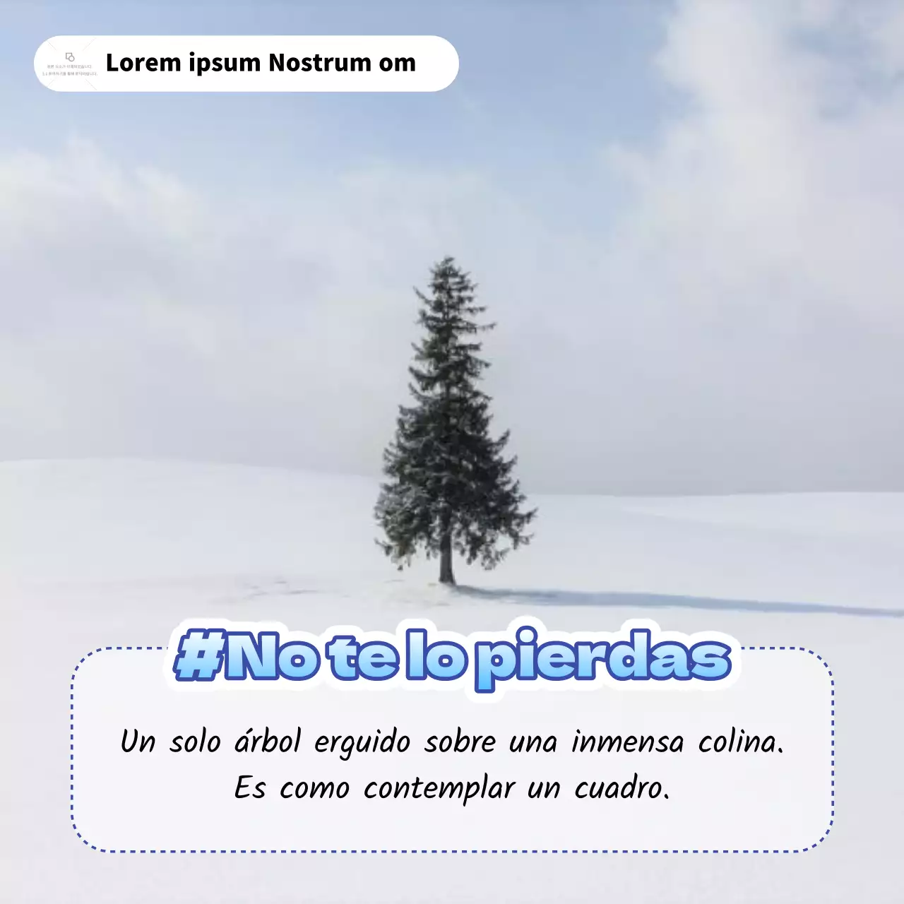 Consejos para pasar un invierno en blanco y azul en Japón