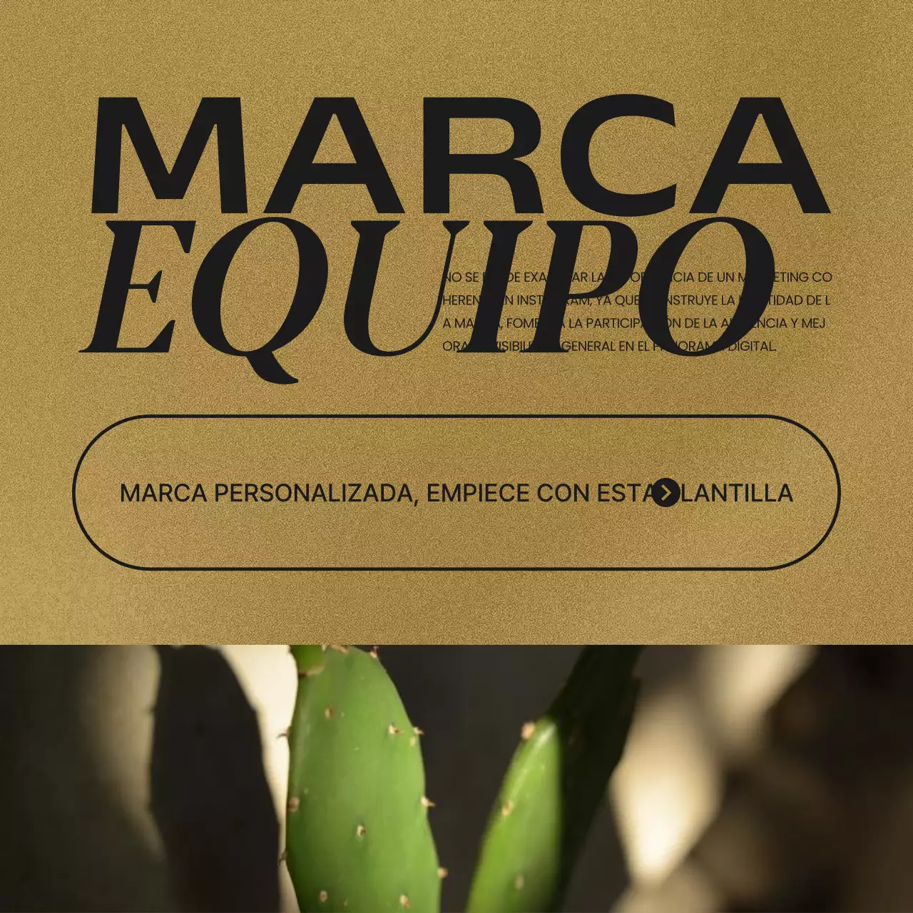 Un post sobre los kits de marca de moda en redes sociales en marrón y rojo