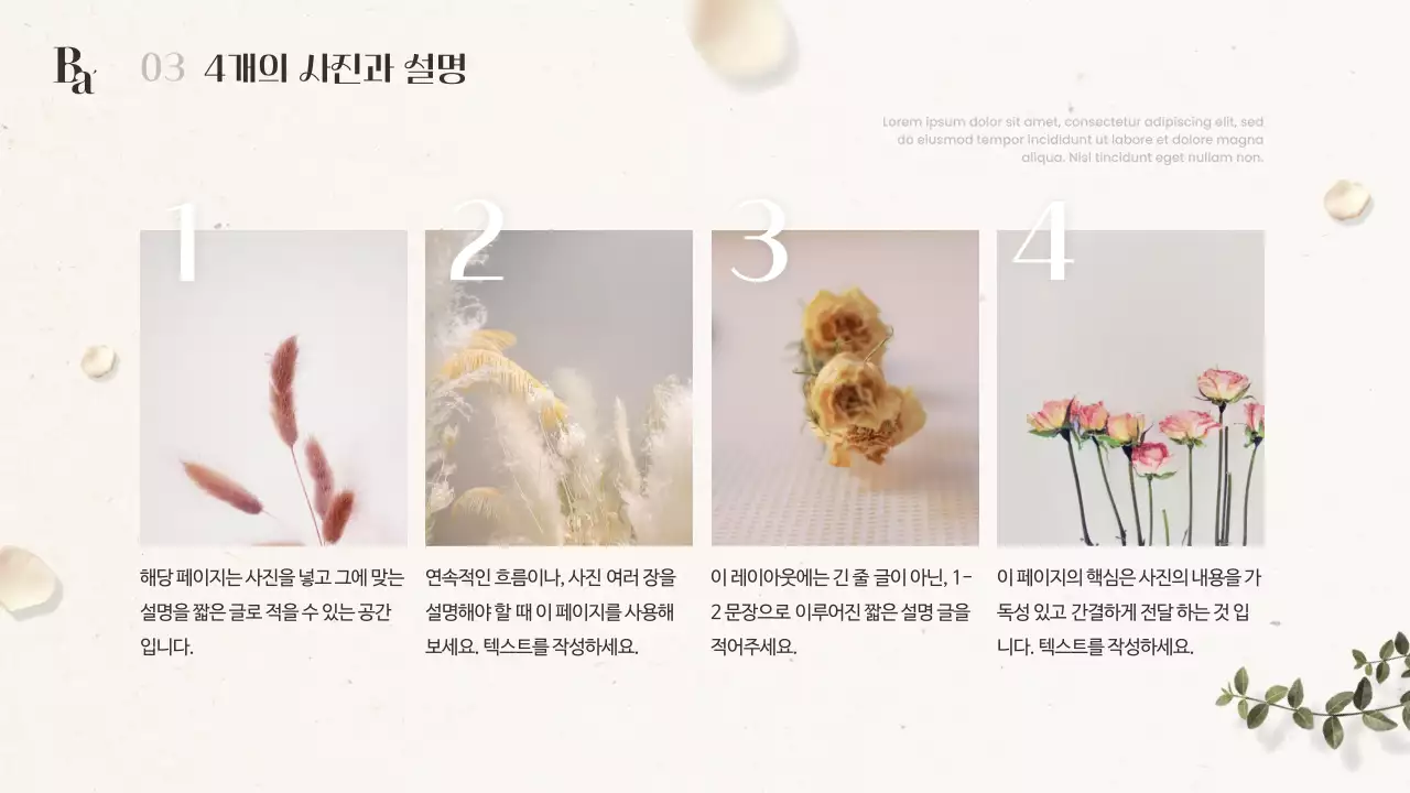 아이보리색과 갈색의 모던한 감성 겨울 꽃 소개서