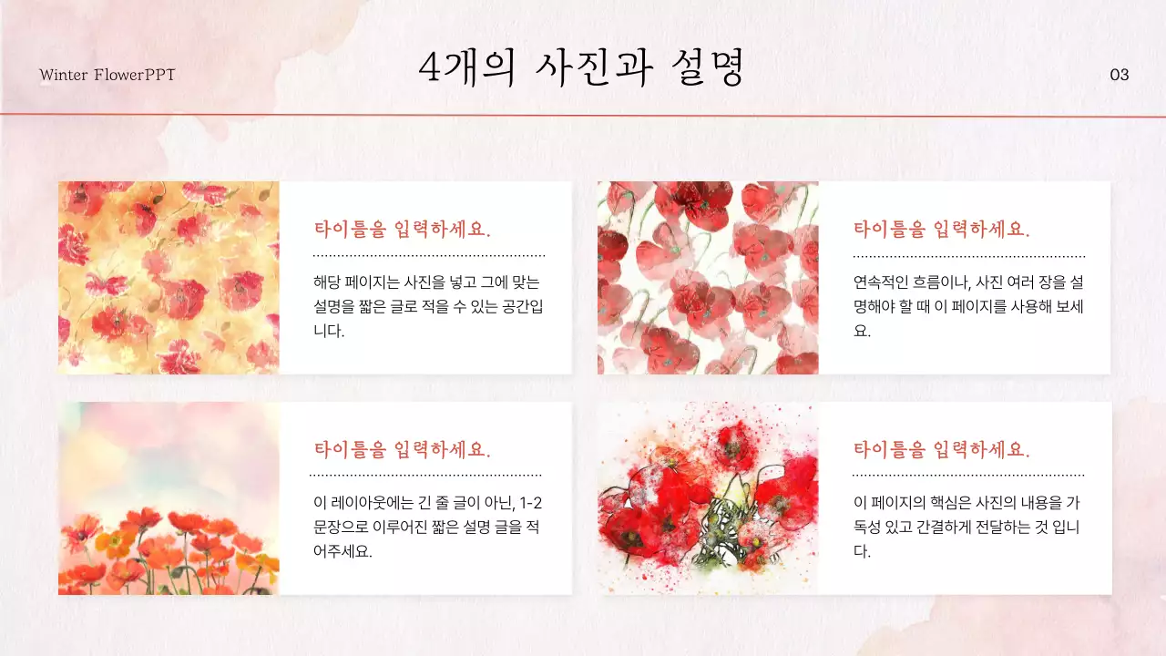 빨강 꽃 포인트의 자연느낌 수채화 소개서