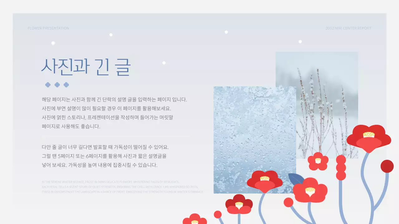 하늘색과 빨강의 미니멀한 겨울 꽃 발표자료