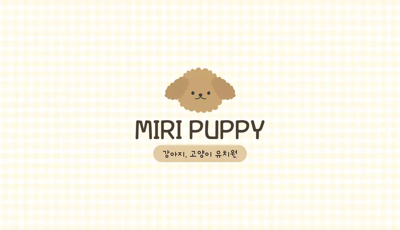 노란색의 상큼발랄한 반려견 유치원