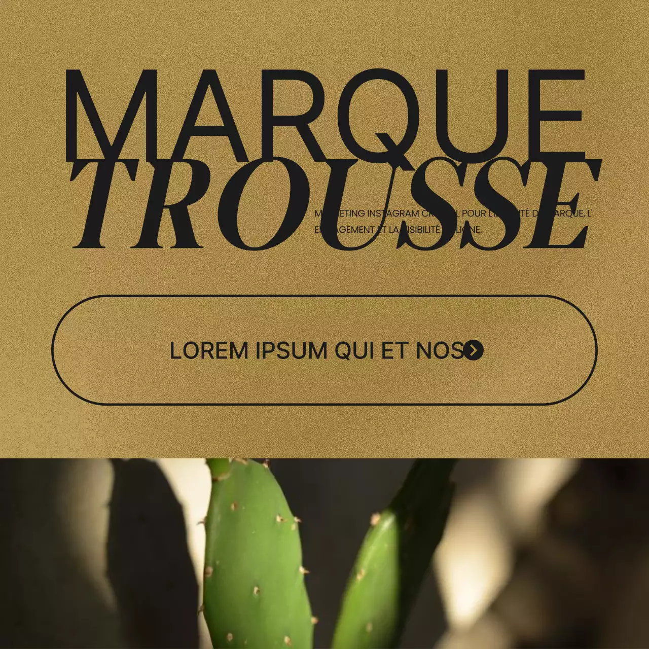 Un article sur les kits de marque des médias sociaux en marron et rouge.