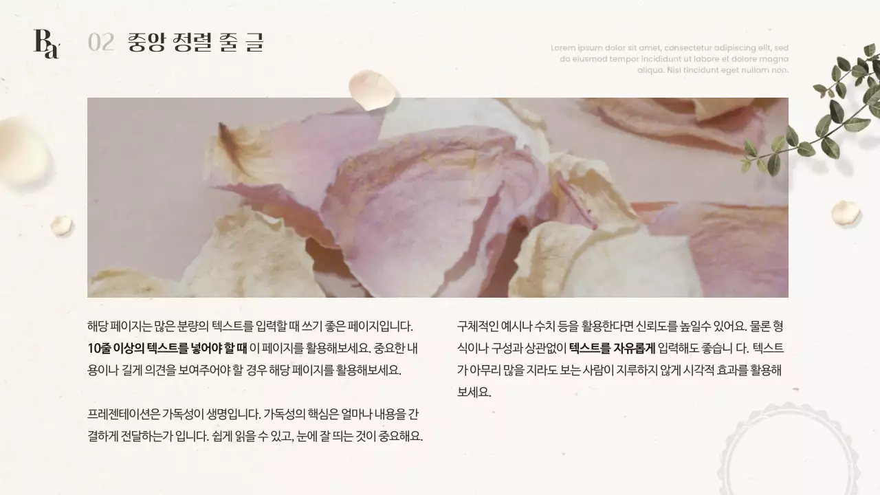 아이보리색과 갈색의 모던한 감성 겨울 꽃 소개서