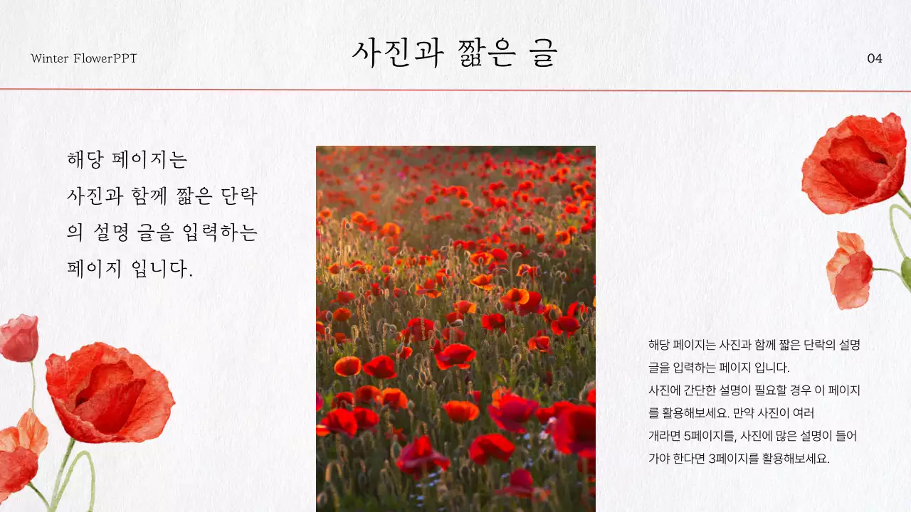 빨강 꽃 포인트의 자연느낌 수채화 소개서