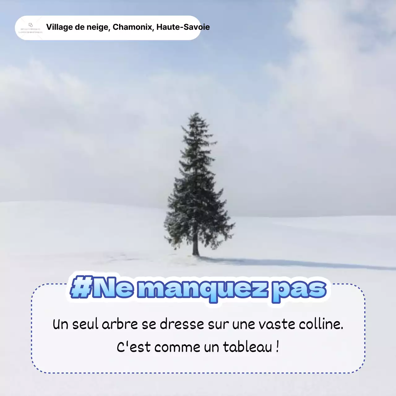 Conseils de voyage pour un hiver bleu et blanc au Japon