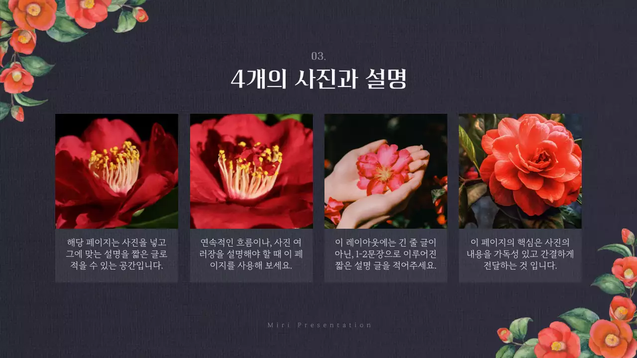 빨강과 남색의 고급스러운 겨울 동백꽃 발표자료