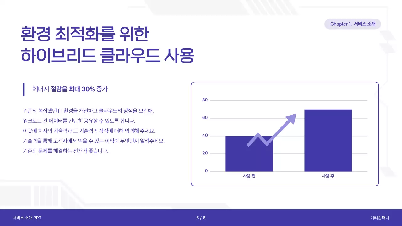 보라의 사이버의 서비스 소개서
