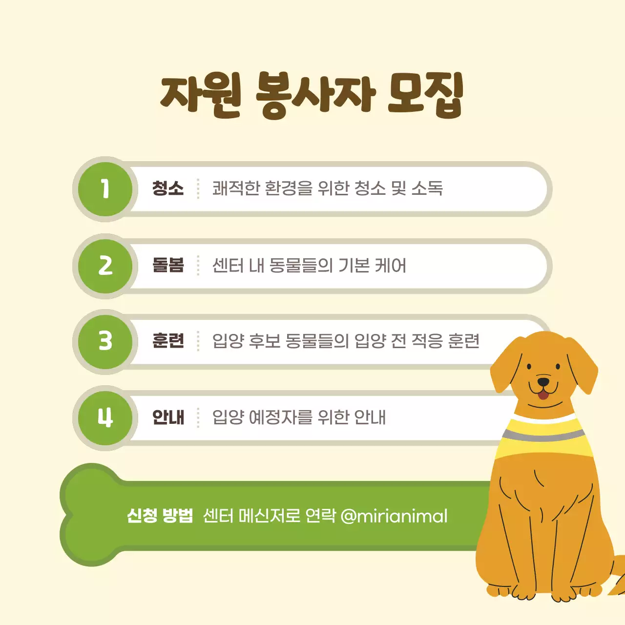 노랑과 초록의 아기자기한 유기반려동물 입양센터 홍보