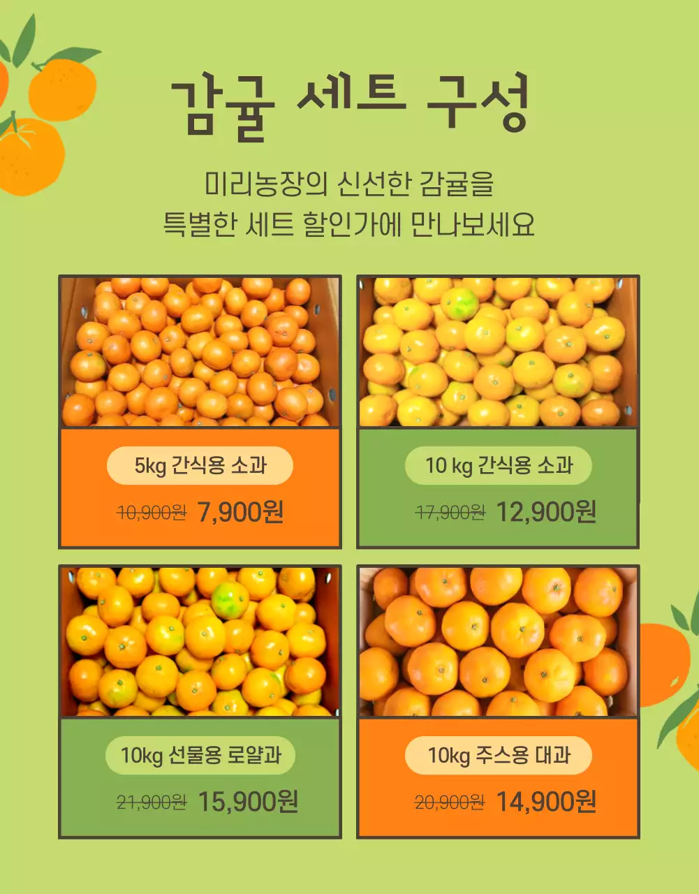 주황색의 아기자기한 감귤 홍보