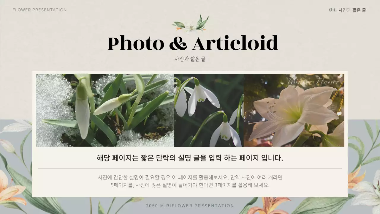 하늘색의 빈티지 겨울꽃 제안서