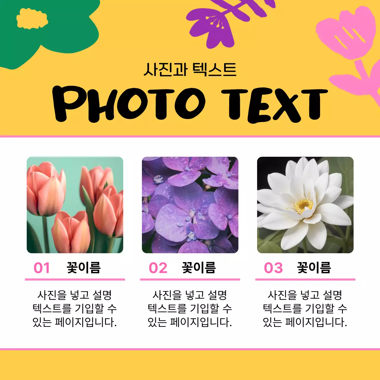 노랑과 핑크색의 아기자기한 봄 꽃 소개서