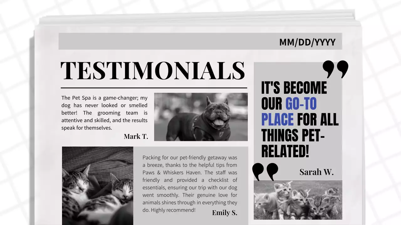 Blue Classic Pet Promotion Presentation