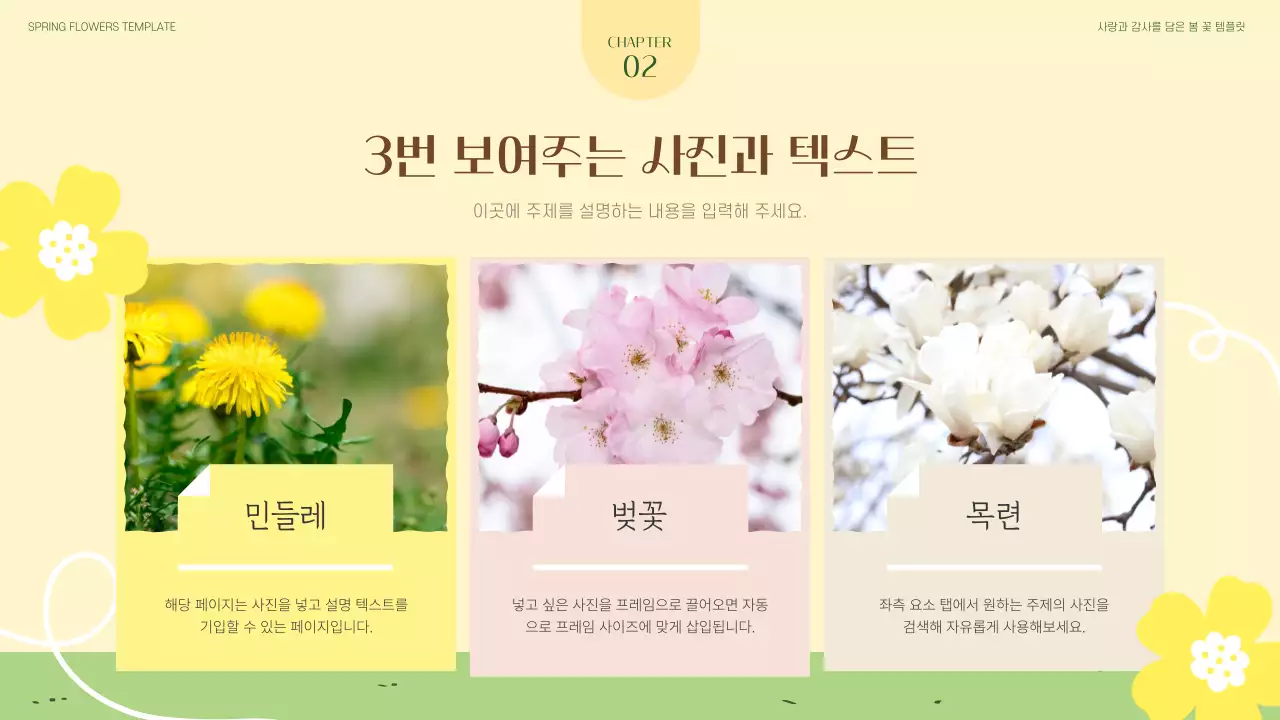 노랑과 초록의 아기자기한 봄 꽃 소개서