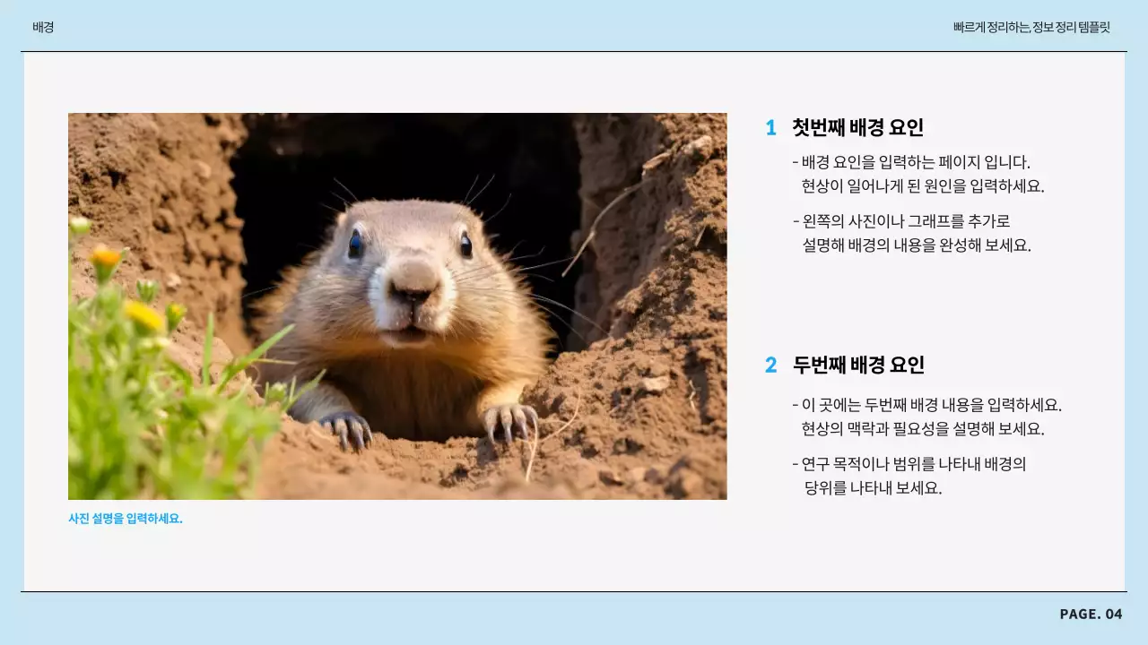 하늘색과 회색의 모던한 정보 정리 보고서