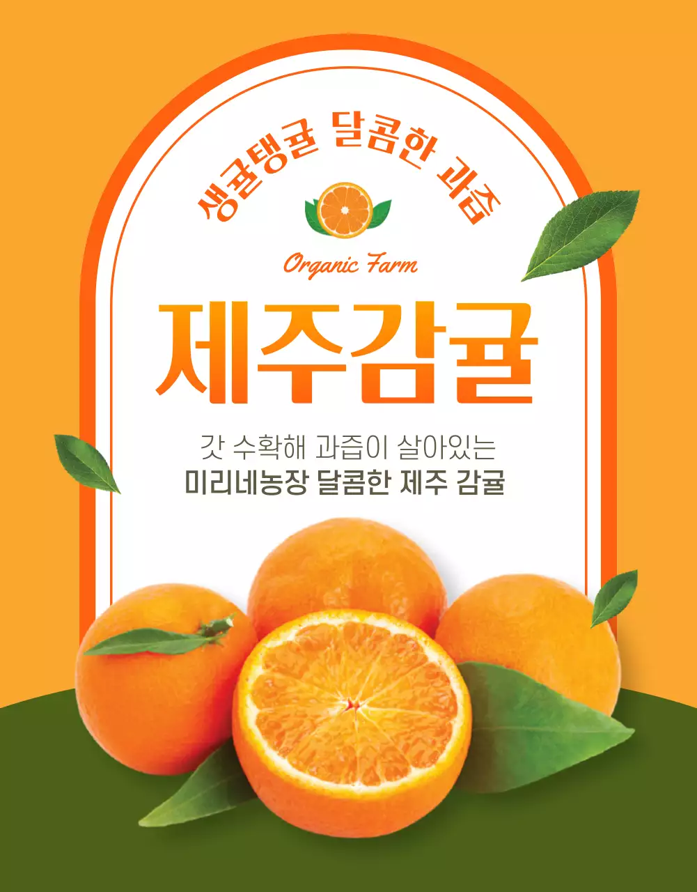 주황색과 초록색의 모던한 감귤 홍보