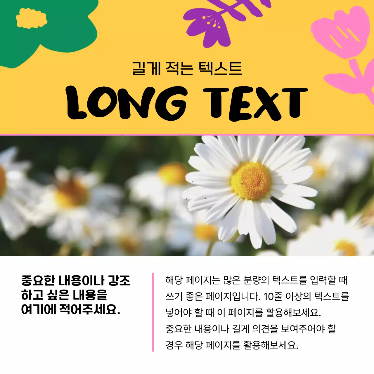 노랑과 핑크색의 아기자기한 봄 꽃 소개서