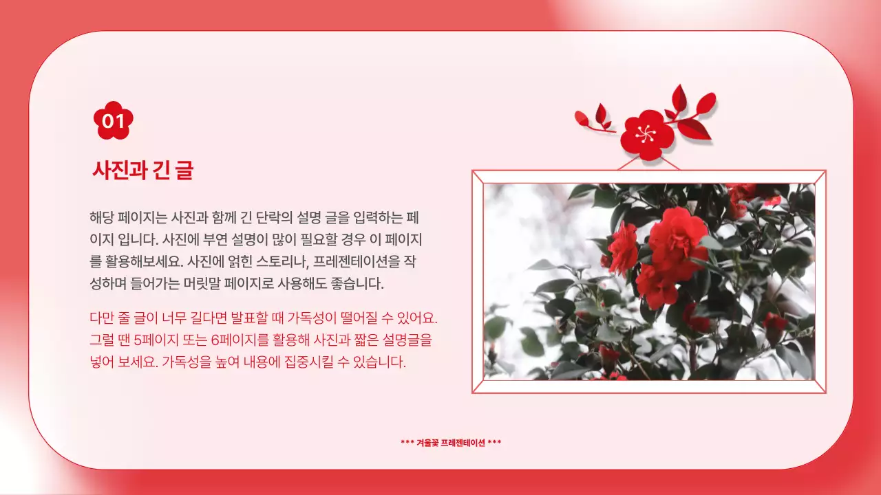 빨강과 하늘색 컬러 배경의 깔끔한 겨울 꽃 기획서