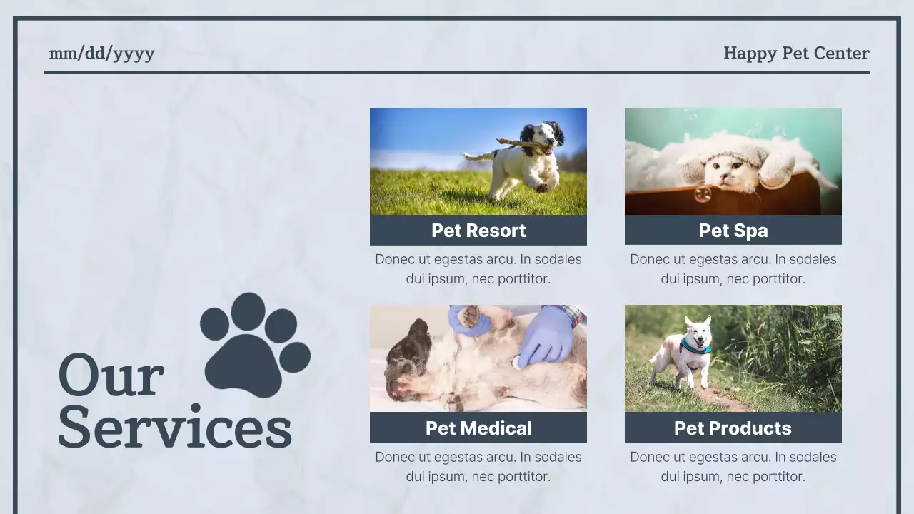 블루모던펫뉴스 발표 프리젠테이션